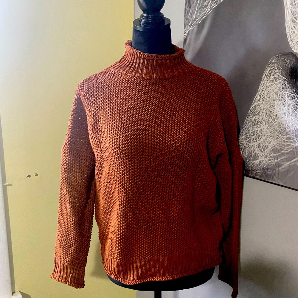 Brown Turtleneck Sweater